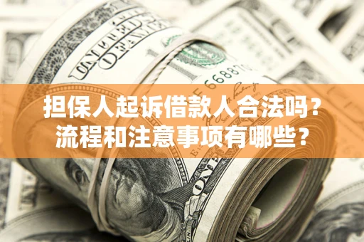 武汉担保人起诉借款人合法吗？流程和注意事项有哪些？