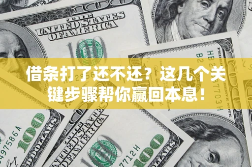武汉借条打了还不还？这几个关键步骤帮你赢回本息！