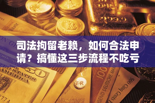 武汉司法拘留老赖，如何合法申请？搞懂这三步流程不吃亏！