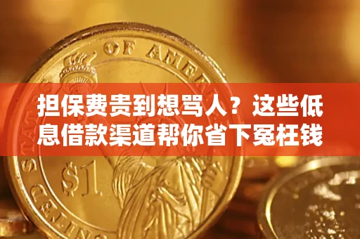 武汉担保费贵到想骂人？这些低息借款渠道帮你省下冤枉钱