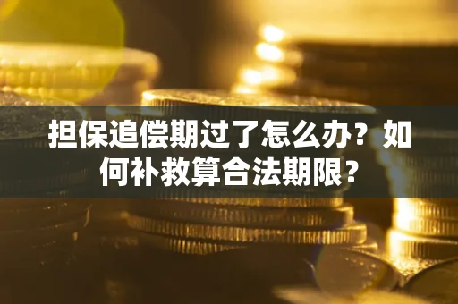武汉担保追偿期过了怎么办？如何补救算合法期限？