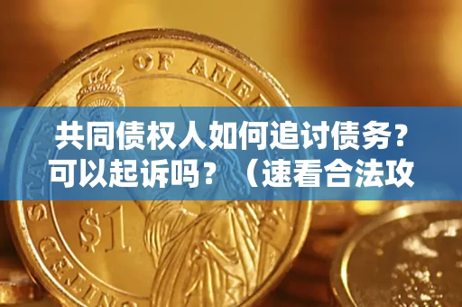 武汉共同债权人如何追讨债务？可以起诉吗？（速看合法攻略）