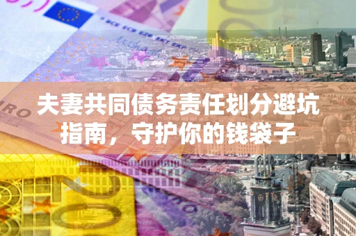 武汉夫妻共同债务责任划分避坑指南，守护你的钱袋子