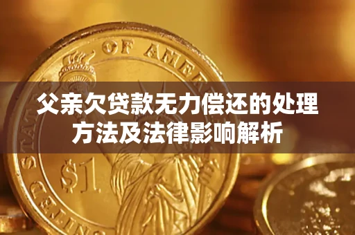 武汉父亲欠贷款无力偿还的处理方法及法律影响解析