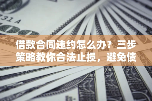 武汉借款合同违约怎么办？三步策略教你合法止损，避免债务危机升级