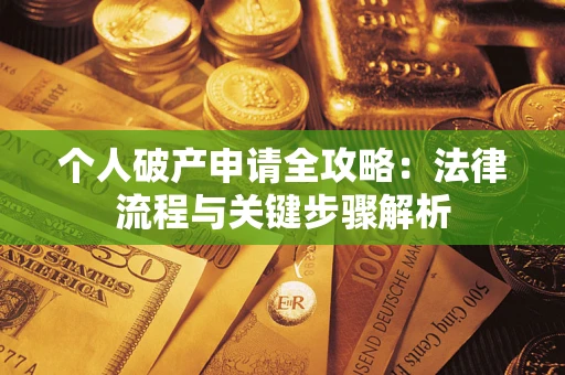 武汉个人破产申请全攻略：法律流程与关键步骤解析
