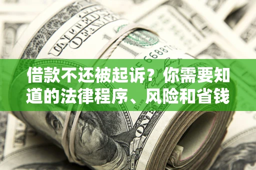 武汉借款不还被起诉？你需要知道的法律程序、风险和省钱技巧