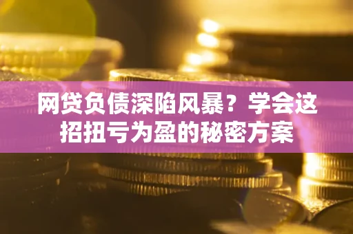 武汉网贷负债深陷风暴？学会这招扭亏为盈的秘密方案